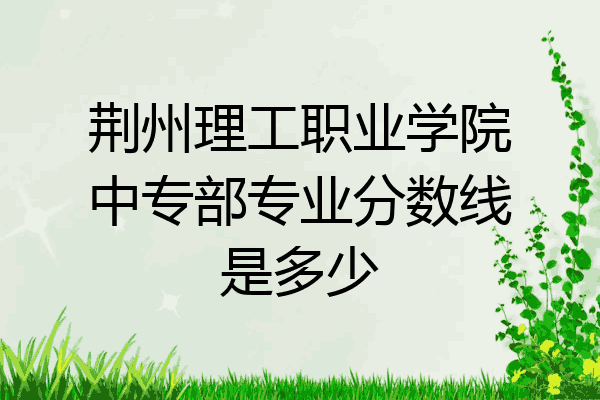 荆州理工职业学院中专部专业分数线是多少