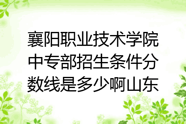襄阳职业技术学院中专部招生条件分数线是多少啊山东