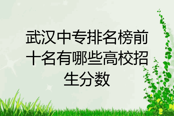 武汉中专排名榜前十名有哪些高校招生分数