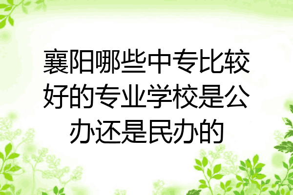 襄阳哪些中专比较好的专业学校是公办还是民办的