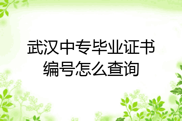 武汉中专毕业证书编号怎么查询