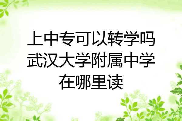 上中专可以转学吗武汉大学附属中学在哪里读