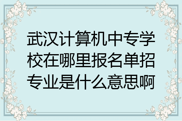 武汉计算机中专学校在哪里报名单招专业是什么意思啊