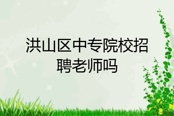 洪山区中专院校招聘老师吗