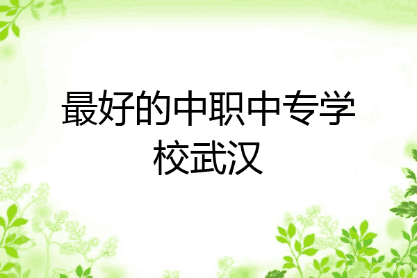 最好的中职中专学校武汉