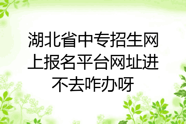 湖北省中专招生网上报名平台网址进不去咋办呀