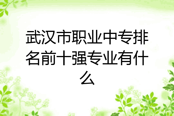 武汉市职业中专排名前十强专业有什么