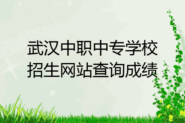 武汉中职中专学校招生网站查询成绩
