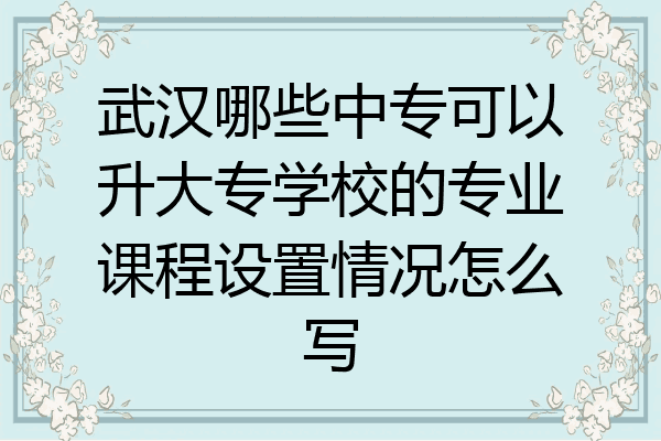 武汉哪些中专可以升大专学校的专业课程设置情况怎么写