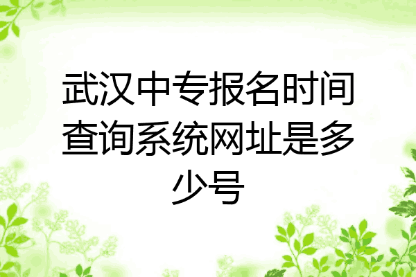 武汉中专报名时间查询系统网址是多少号