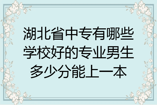 湖北省中专有哪些学校好的专业男生多少分能上一本