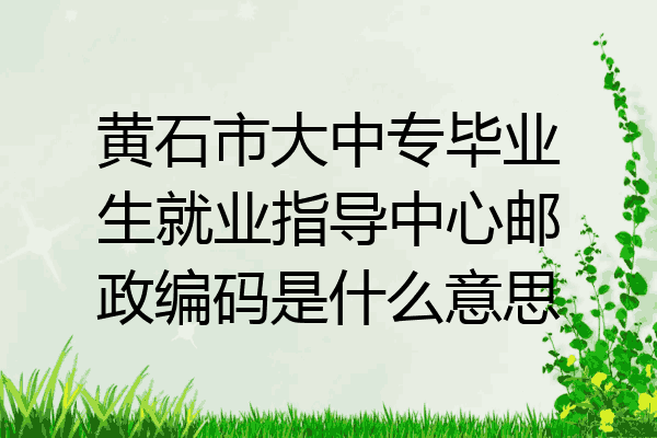 黄石市大中专毕业生就业指导中心邮政编码是什么意思