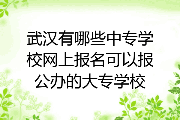 武汉有哪些中专学校网上报名可以报公办的大专学校