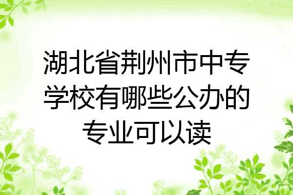 湖北省荆州市中专学校有哪些公办的专业可以读