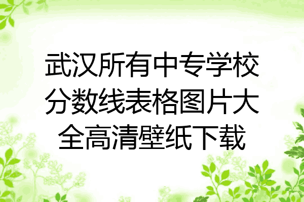 武汉所有中专学校分数线表格图片大全高清壁纸下载