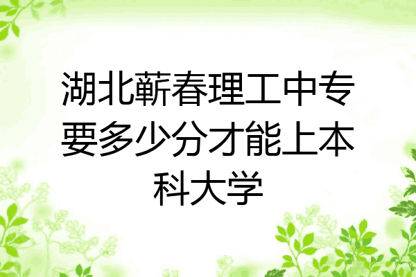 湖北蕲春理工中专要多少分才能上本科大学