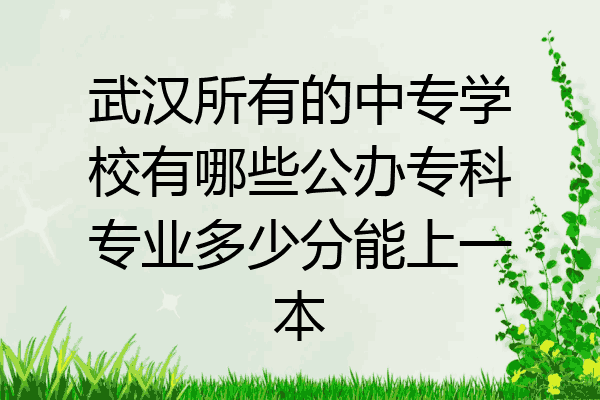武汉所有的中专学校有哪些公办专科专业多少分能上一本