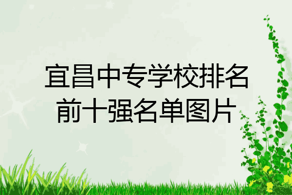 宜昌中专学校排名前十强名单图片