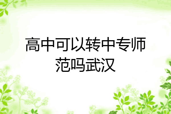 高中可以转中专师范吗武汉