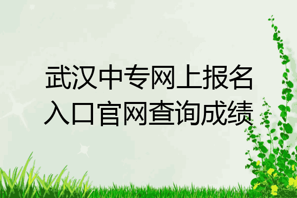武汉中专网上报名入口官网查询成绩