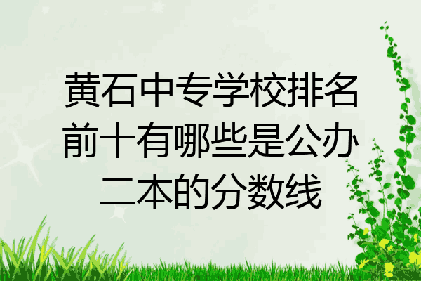黄石中专学校排名前十有哪些是公办二本的分数线