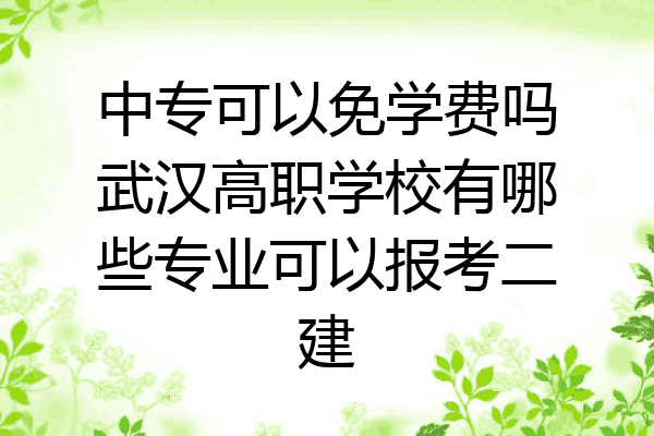 中专可以免学费吗武汉高职学校有哪些专业可以报考二建