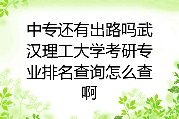 中专还有出路吗武汉理工大学考研专业排名查询怎么查啊