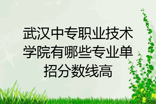 武汉中专职业技术学院有哪些专业单招分数线高