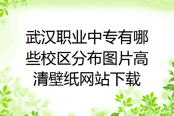 武汉职业中专有哪些校区分布图片高清壁纸网站下载