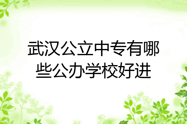 武汉公立中专有哪些公办学校好进