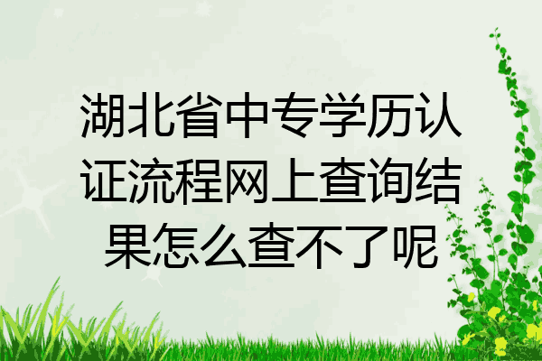 湖北省中专学历认证流程网上查询结果怎么查不了呢