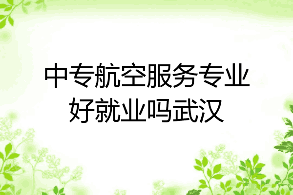 中专航空服务专业好就业吗武汉