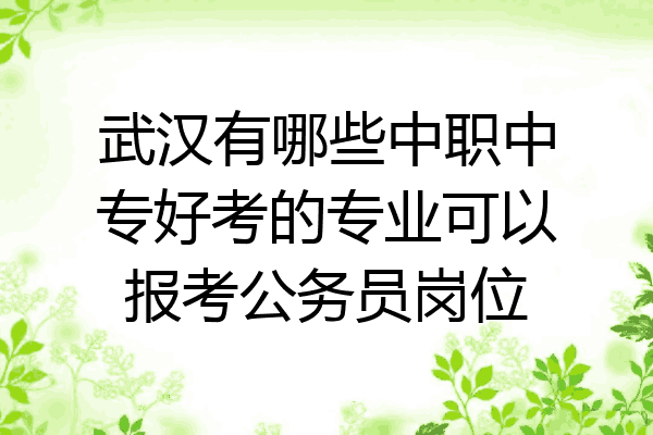 武汉有哪些中职中专好考的专业可以报考公务员岗位
