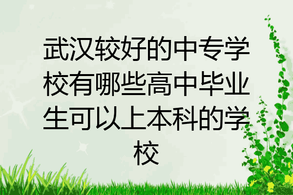 武汉较好的中专学校有哪些高中毕业生可以上本科的学校