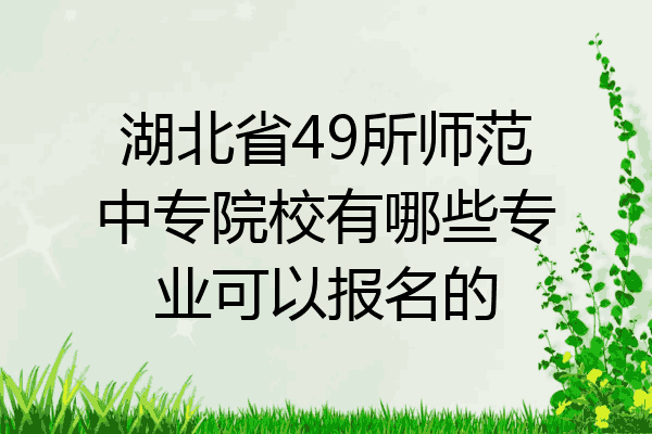 湖北省49所师范中专院校有哪些专业可以报名的
