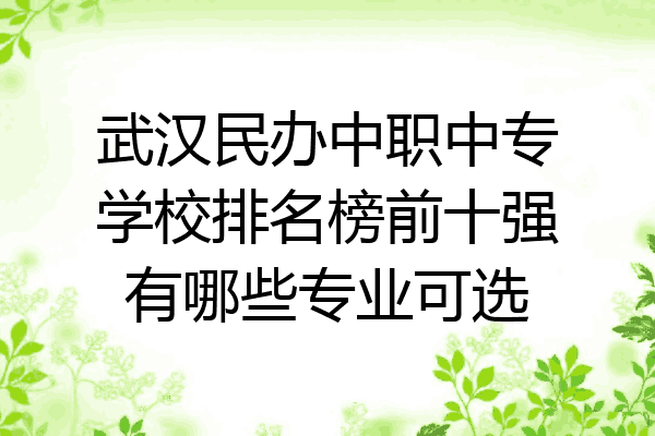 武汉民办中职中专学校排名榜前十强有哪些专业可选
