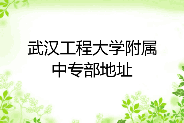 武汉工程大学附属中专部地址
