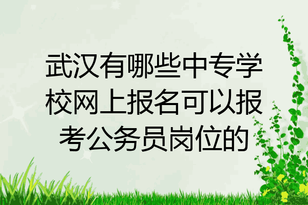 武汉有哪些中专学校网上报名可以报考公务员岗位的