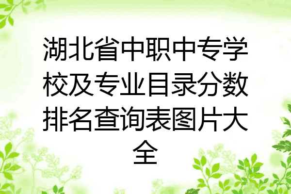 湖北省中职中专学校及专业目录分数排名查询表图片大全