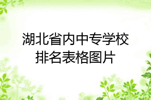 湖北省内中专学校排名表格图片