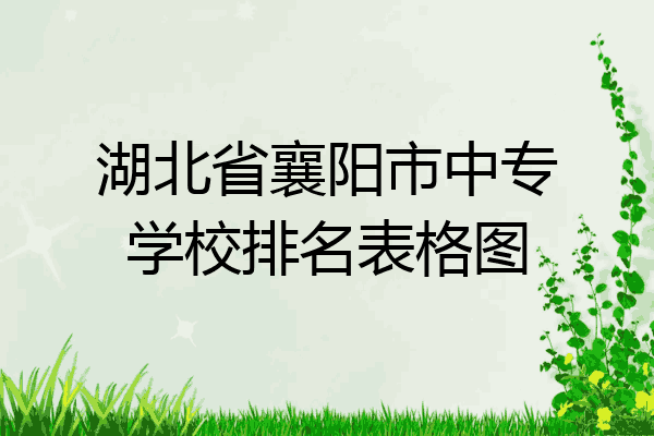 湖北省襄阳市中专学校排名表格图