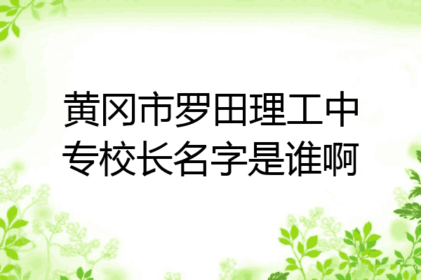 黄冈市罗田理工中专校长名字是谁啊