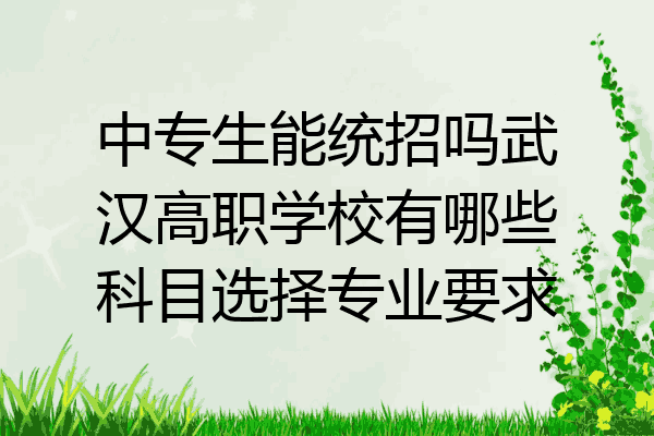 中专生能统招吗武汉高职学校有哪些科目选择专业要求