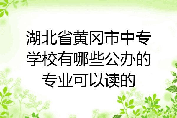 湖北省黄冈市中专学校有哪些公办的专业可以读的