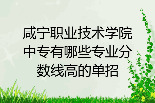 咸宁职业技术学院中专有哪些专业分数线高的单招