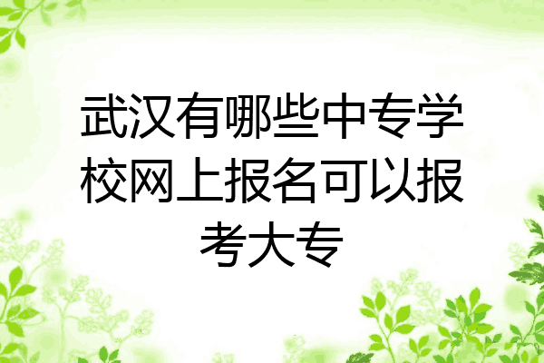 武汉有哪些中专学校网上报名可以报考大专