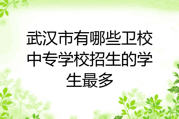 武汉市有哪些卫校中专学校招生的学生最多