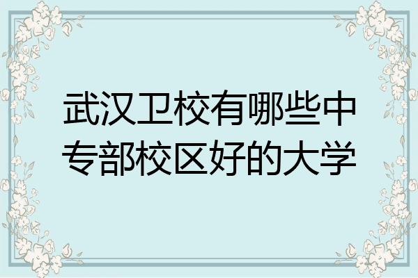 武汉卫校有哪些中专部校区好的大学