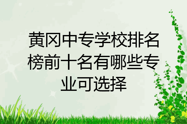 黄冈中专学校排名榜前十名有哪些专业可选择