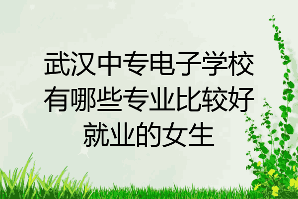 武汉中专电子学校有哪些专业比较好就业的女生